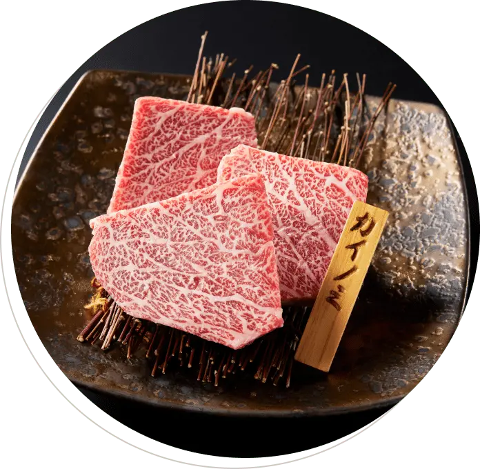 カイノミのイメージ画像